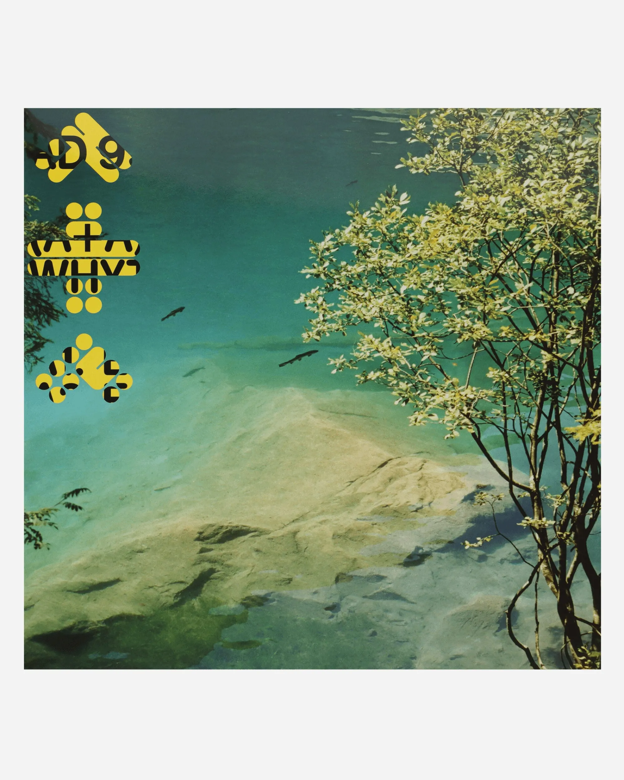 Public Possession Music^060 Vinyl