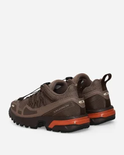 Salomon Sneakers·Low|Sneakers^ACS + OG Sneakers Iron / Bracken / Autumn