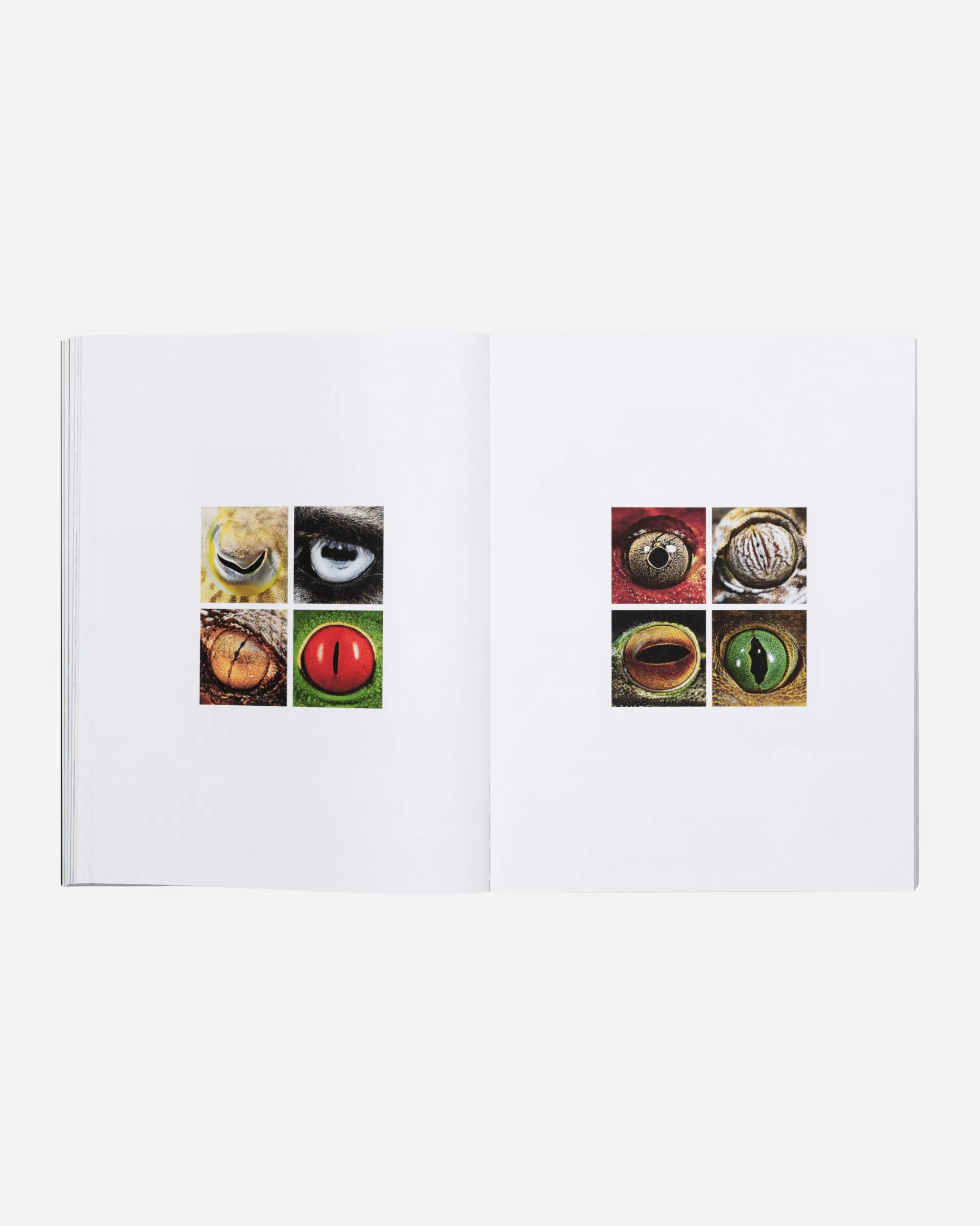 Slam Jam Books^ADDPMP Vol. II Book Black