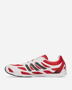 adidas Sneakers·Low|Sneakers^Adizero PR Sneaker Cloud White / Pure Ruby