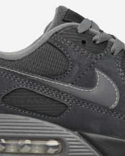 Nike Sneakers·Low|Sneakers^Air Max 90 Sneakers Anthracite / Light Smoke Grey