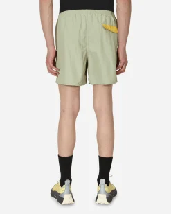 Patagonia Shorts^Baggies Shorts Green