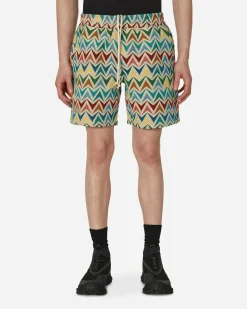 Pleasures Shorts^Basket Woven Shorts Multicolor