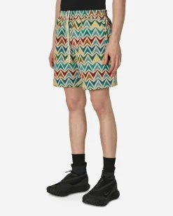 Pleasures Shorts^Basket Woven Shorts Multicolor