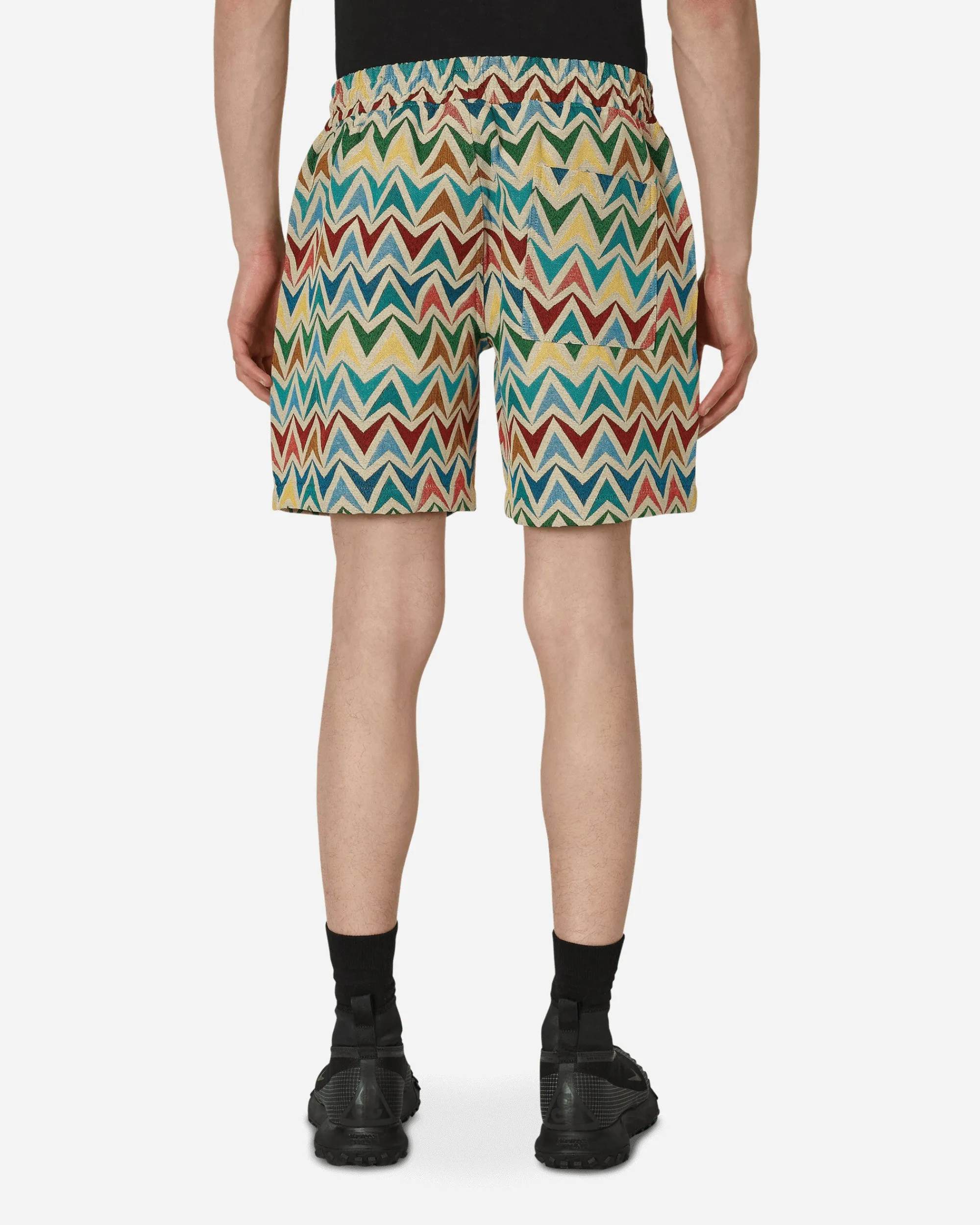 Pleasures Shorts^Basket Woven Shorts Multicolor