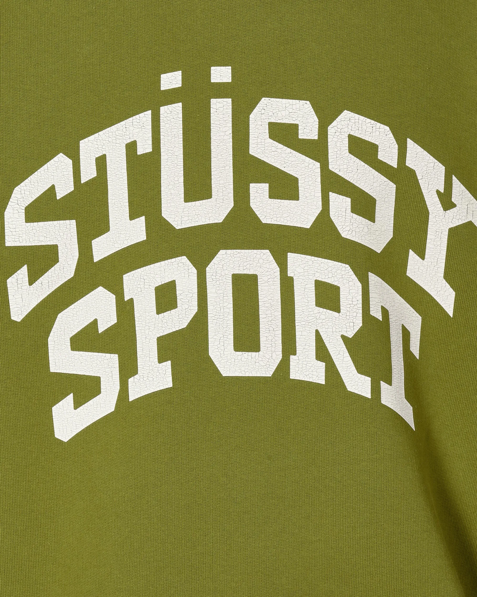 Stüssy Sweatshirts^Big Crackle Sport Crewneck Sweatshirt Green