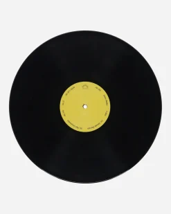 Public Possession Music^Bruce Flakian LP Vinyl