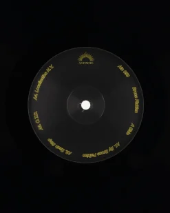 Public Possession Music^Bruce Flakian LP Vinyl