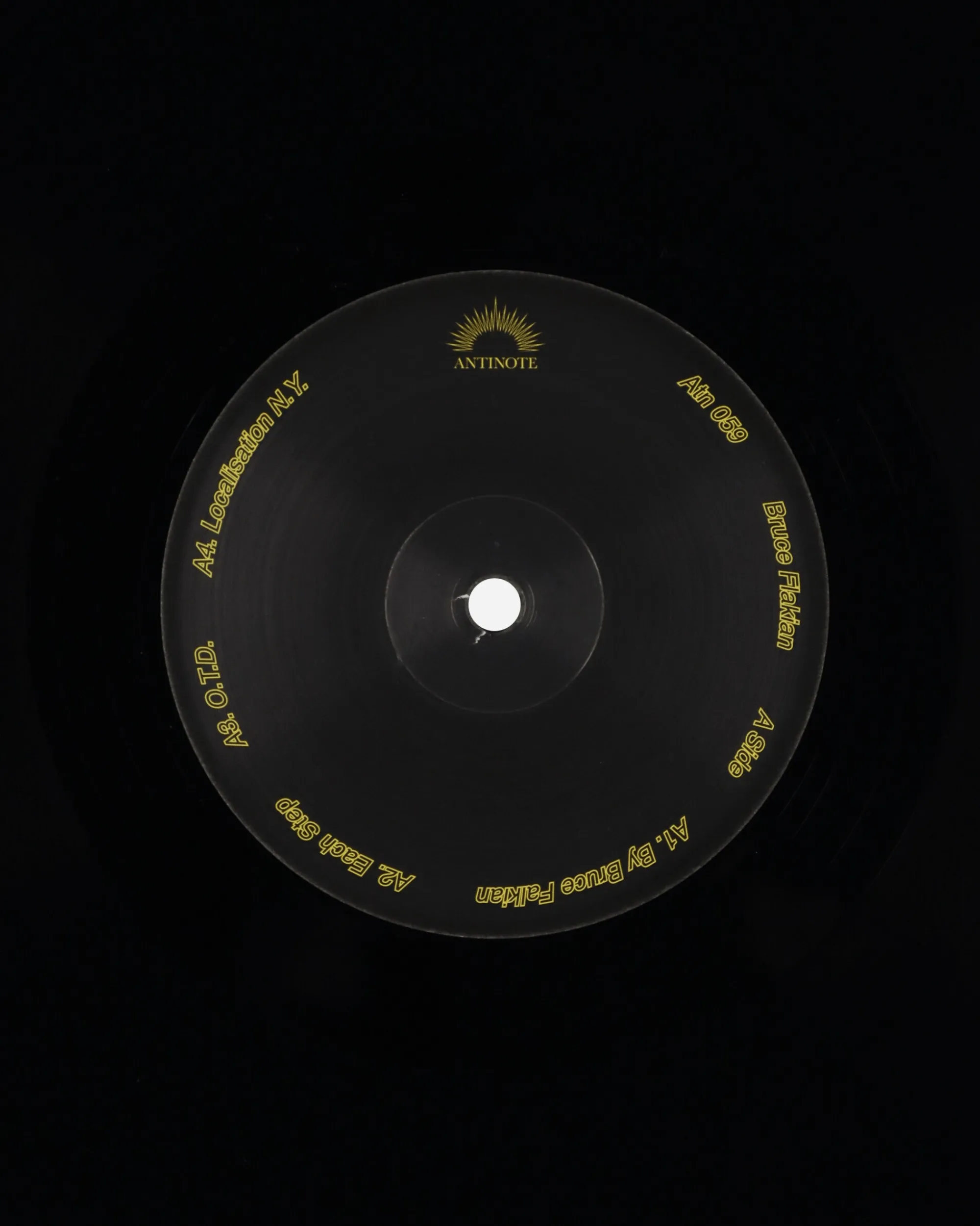Public Possession Music^Bruce Flakian LP Vinyl