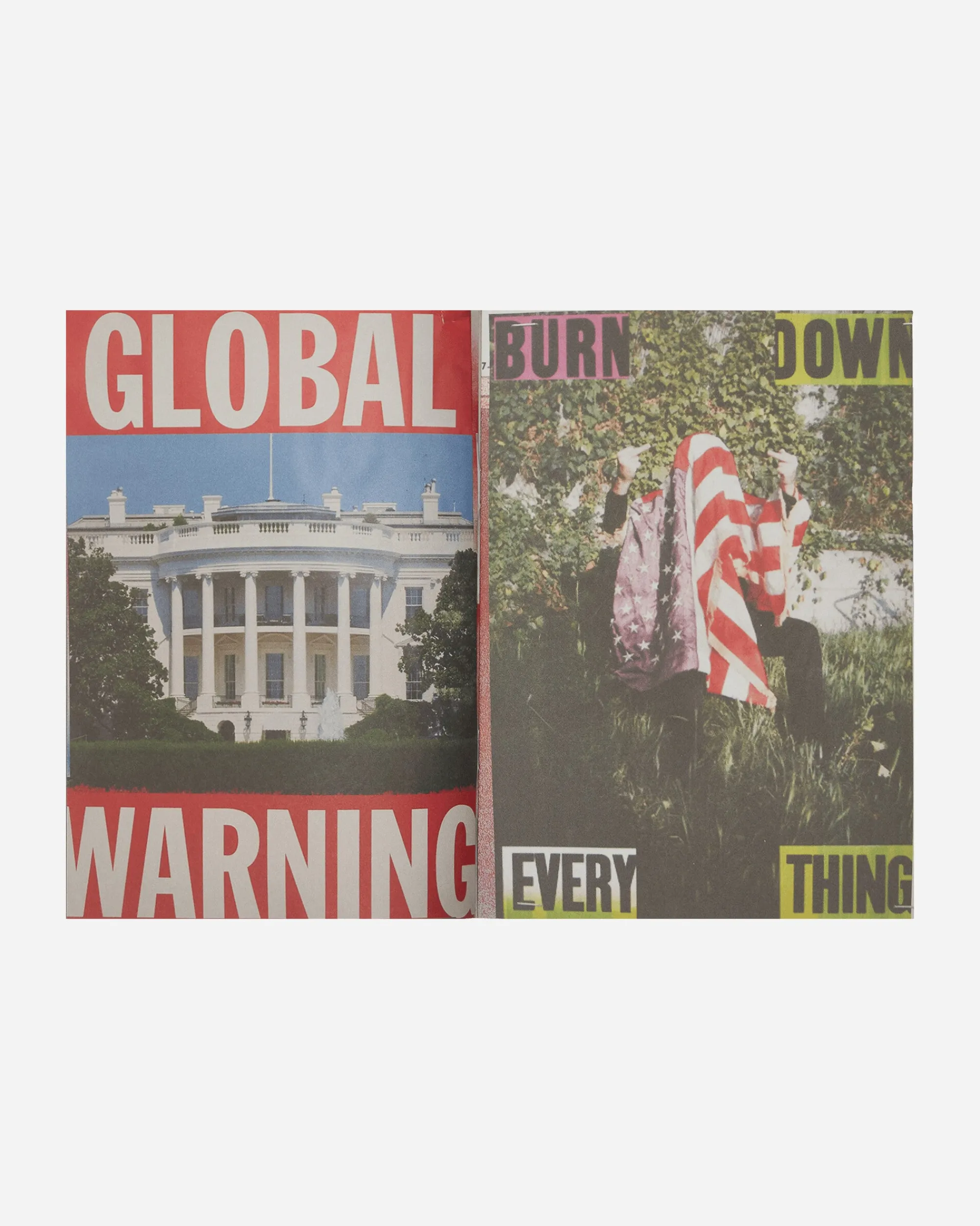 Innen Publishing Magazines^Cali Dewitt: Live Forever 3 Zine