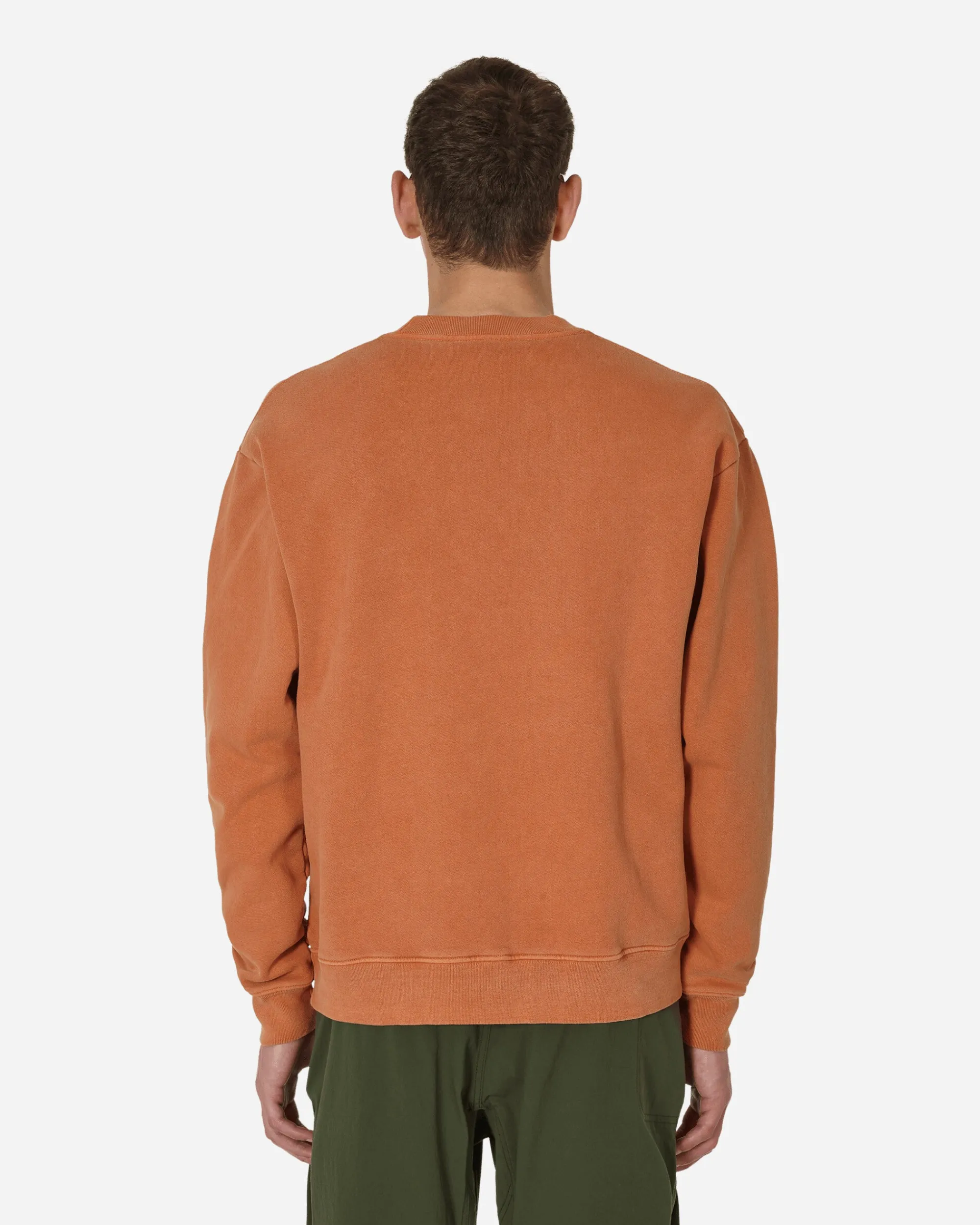 Capsule Sweatshirts^Classic Logo Crewneck Sweatshirt Rust