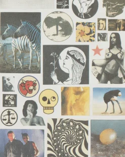 Innen Publishing Magazines^Fuck This Life: Dreamgirls Zine