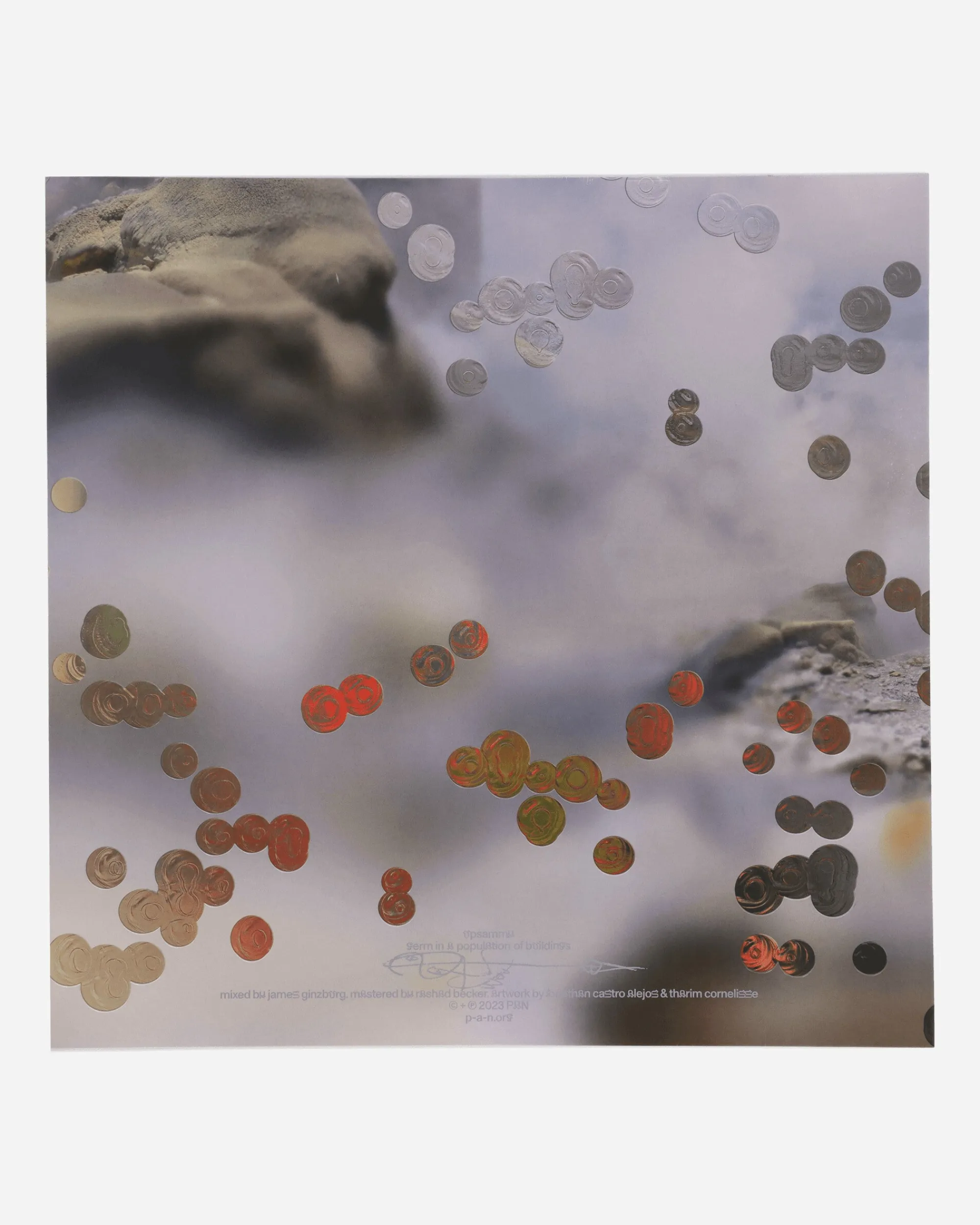 Public Possession Music^Germ In A Population Of Buildings Vinyl