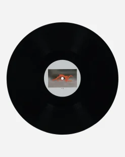 Public Possession Music^Germ In A Population Of Buildings Vinyl