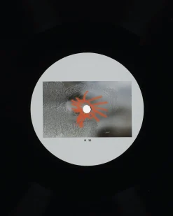 Public Possession Music^Germ In A Population Of Buildings Vinyl