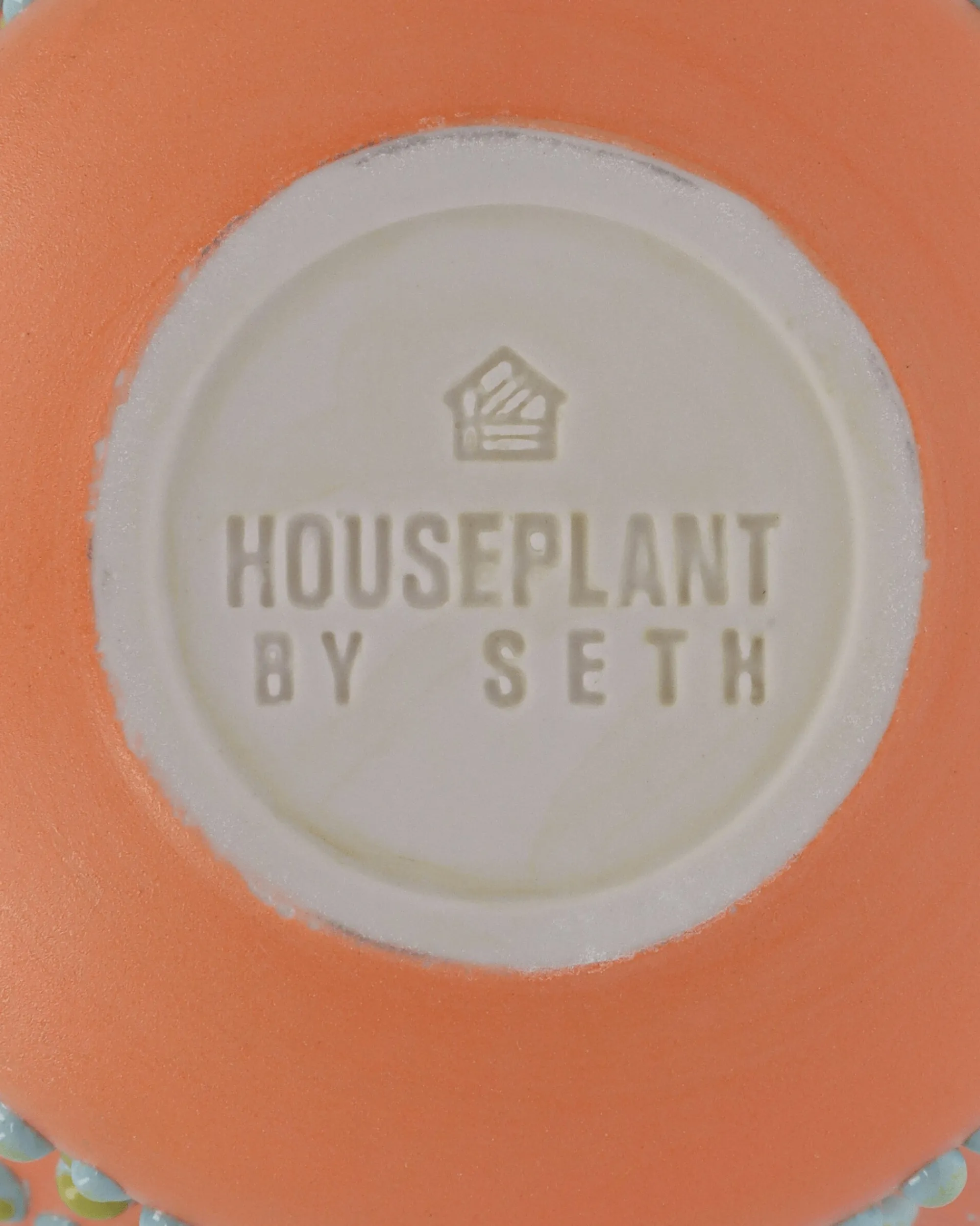Houseplant Home^Gloopy Vase Coral
