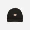 Dickies Hats|Hats^Hardwick Cap Black