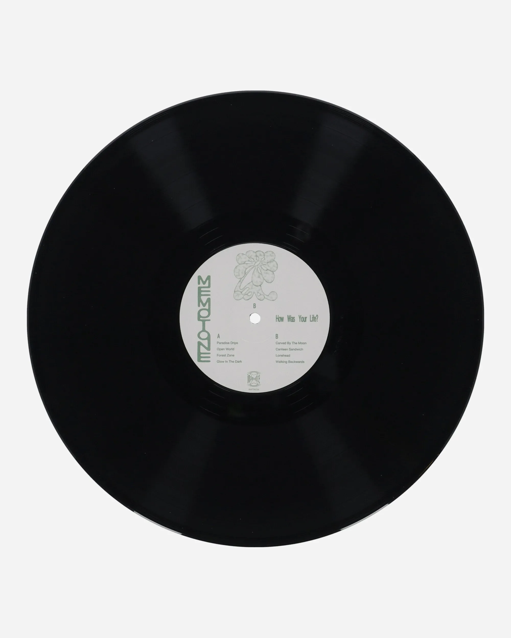 Public Possession Music^How Was Your Life Vinyl