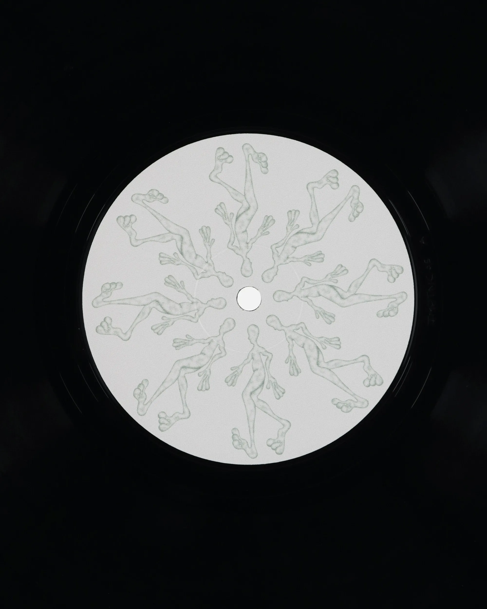 Public Possession Music^How Was Your Life Vinyl