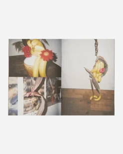 Innen Publishing Magazines^Ikebana By Side Effects Zine