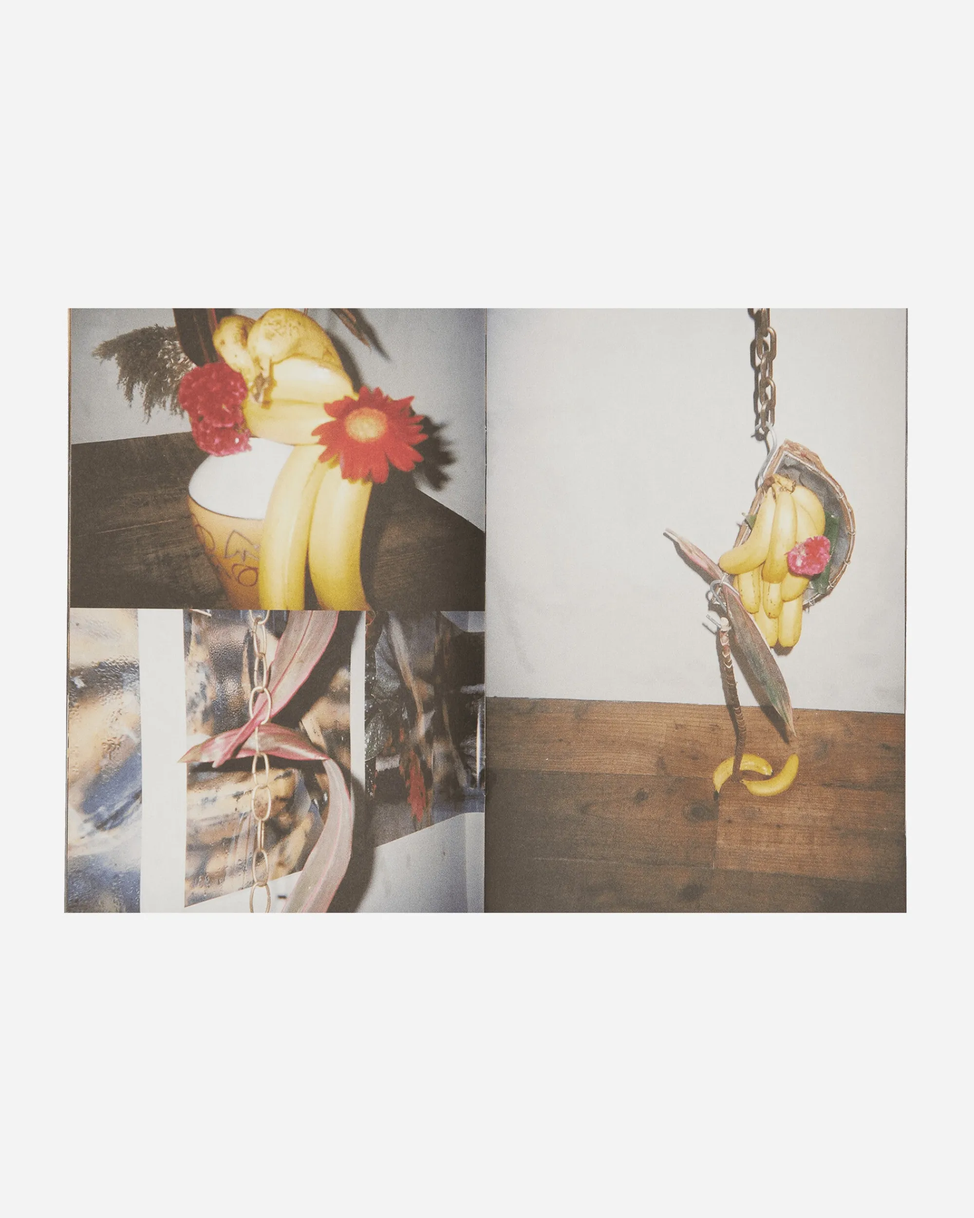 Innen Publishing Magazines^Ikebana By Side Effects Zine