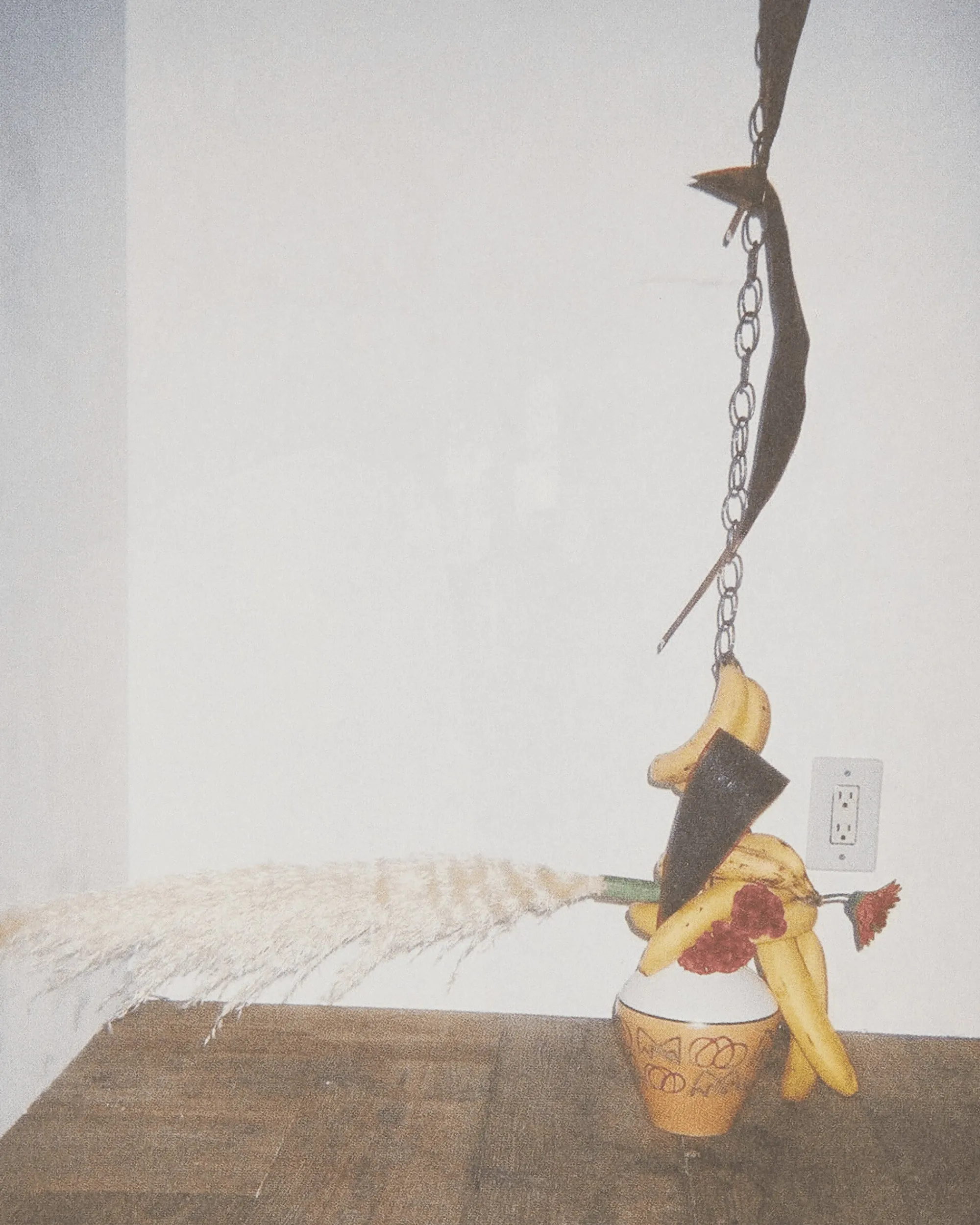 Innen Publishing Magazines^Ikebana By Side Effects Zine