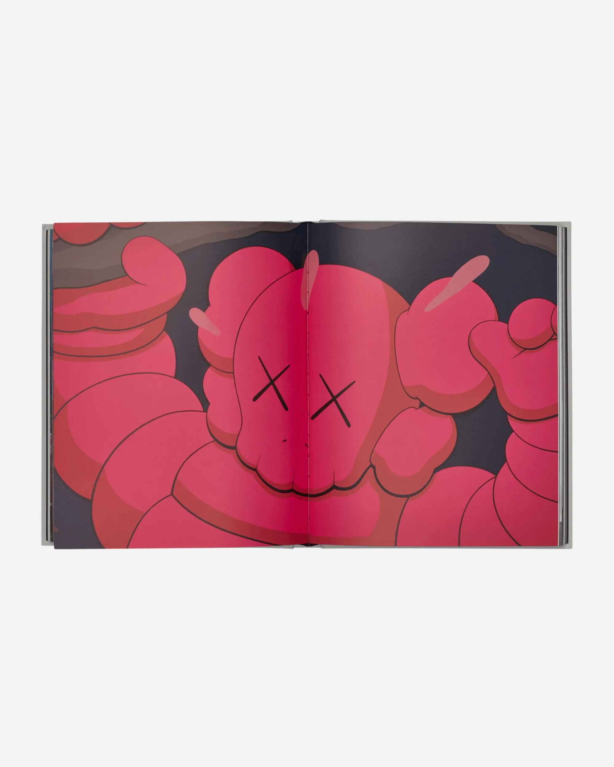 Phaidon Books Books^KAWS: New Fiction Book