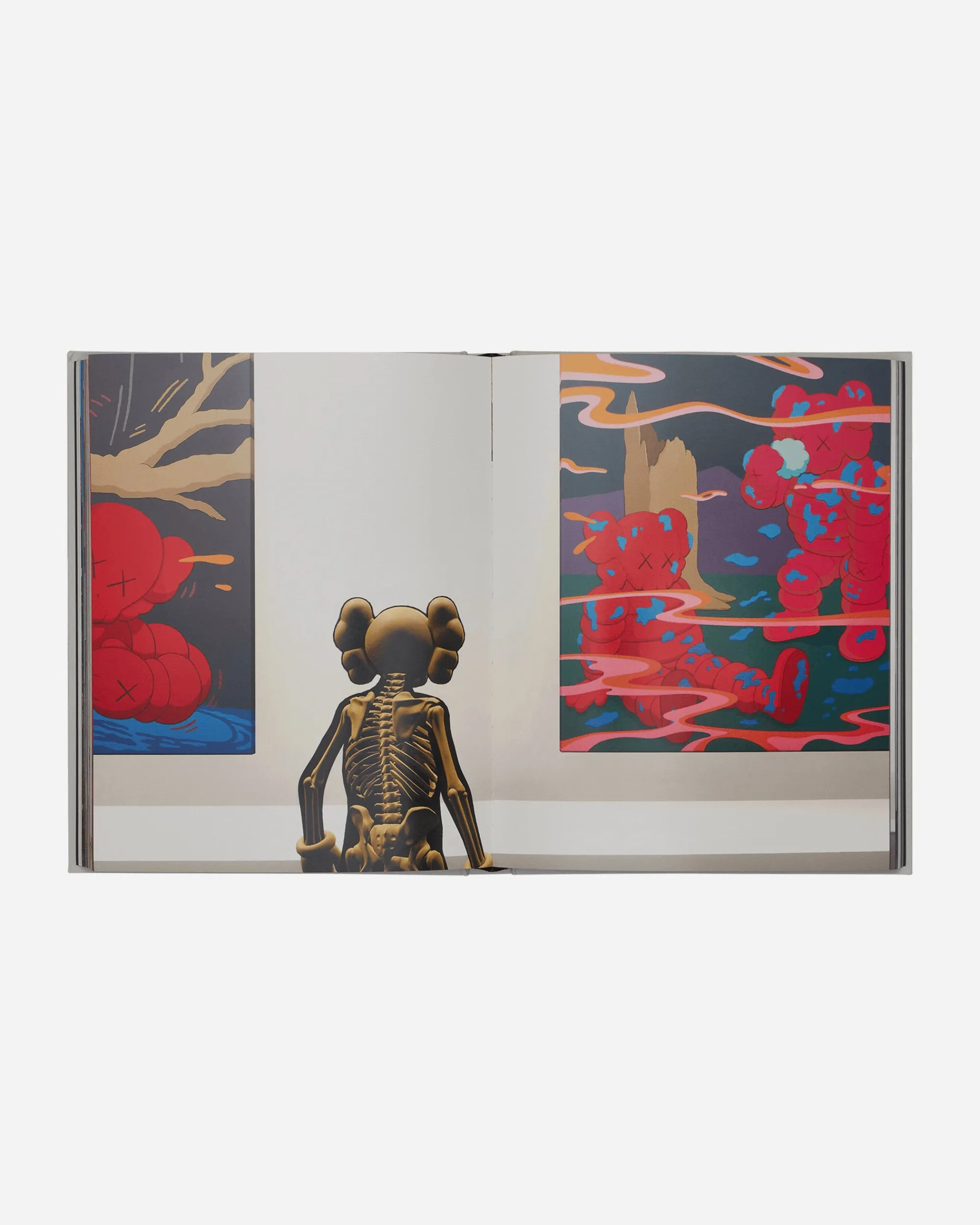 Phaidon Books Books^KAWS: New Fiction Book