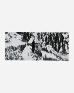 Public Possession Music^L.I.E.S. Presents: Music For Shut-ins CD