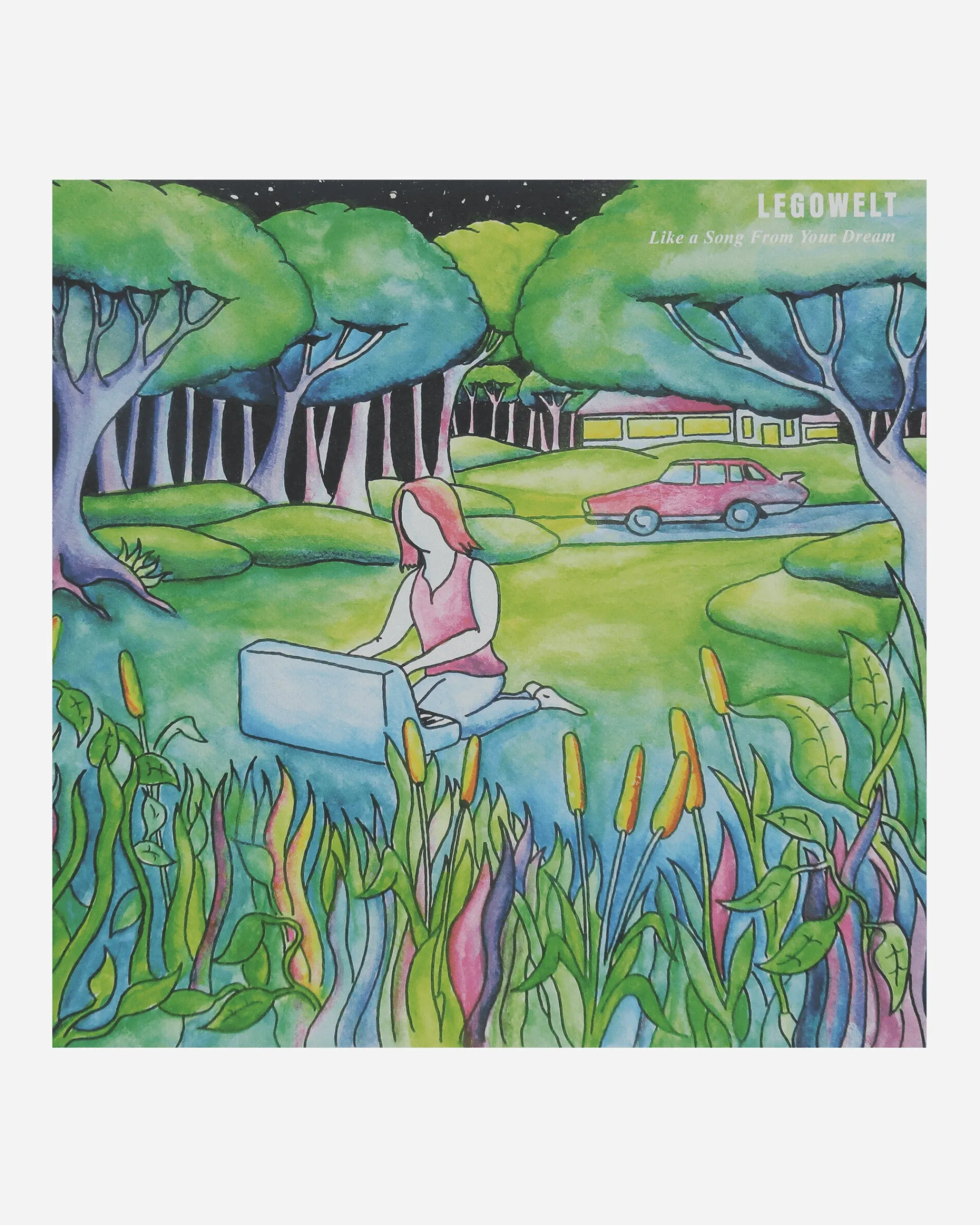 Public Possession Music^Like A Song From Your Dream Vinyl