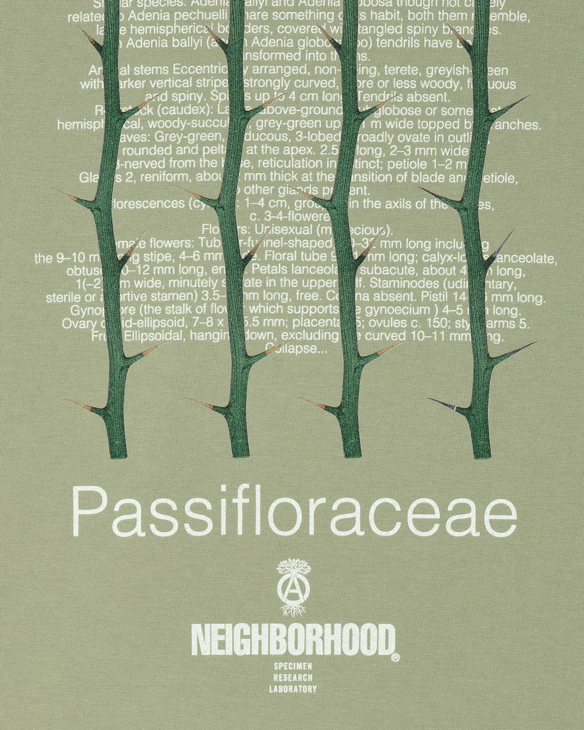 Neighborhood T-Shirts^LS-1 Longsleeve T-Shirt Sage Green
