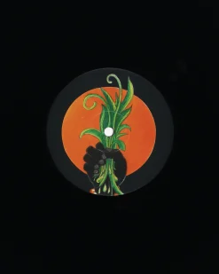 Public Possession Music^Magic Carnaval Vinyl