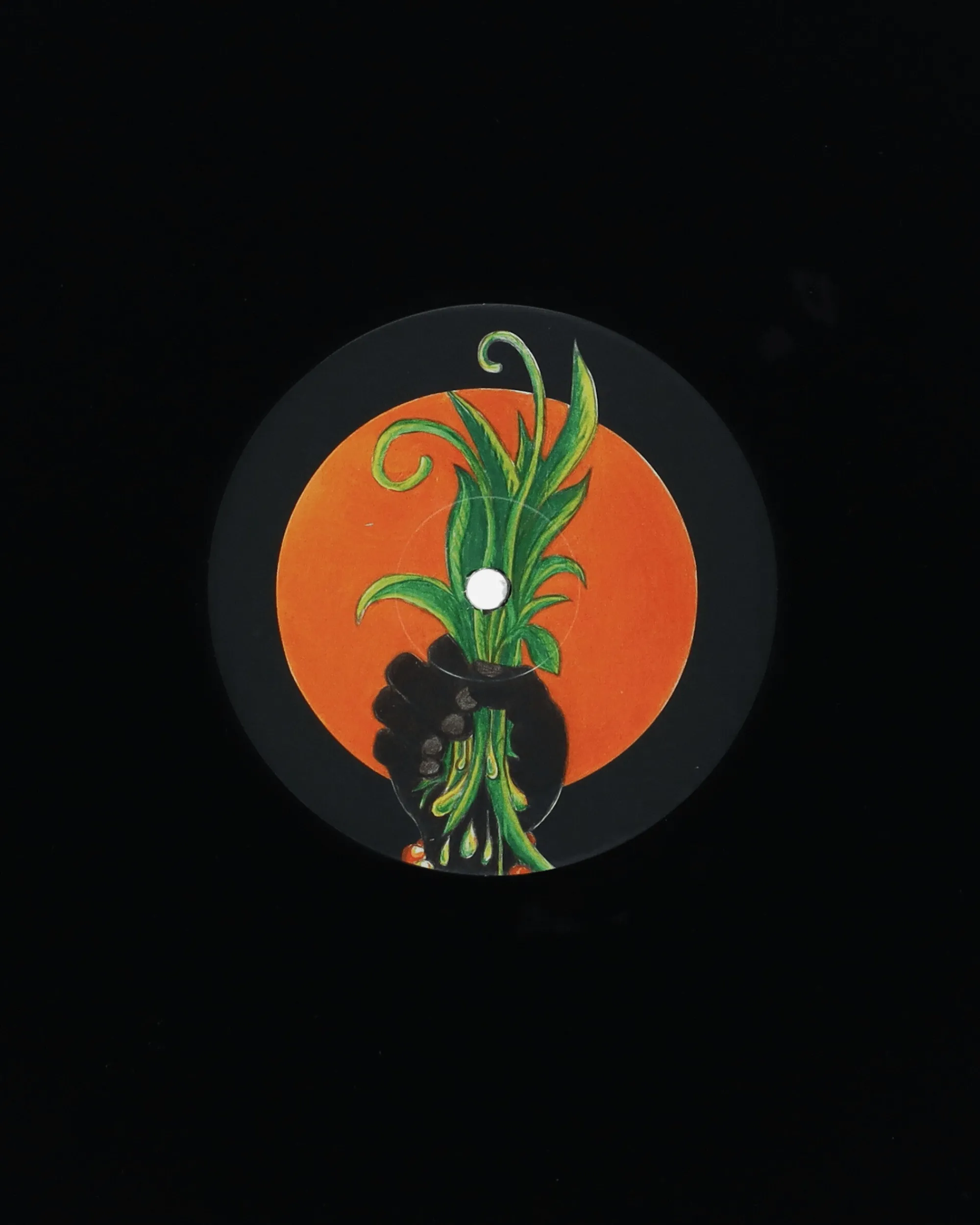 Public Possession Music^Magic Carnaval Vinyl