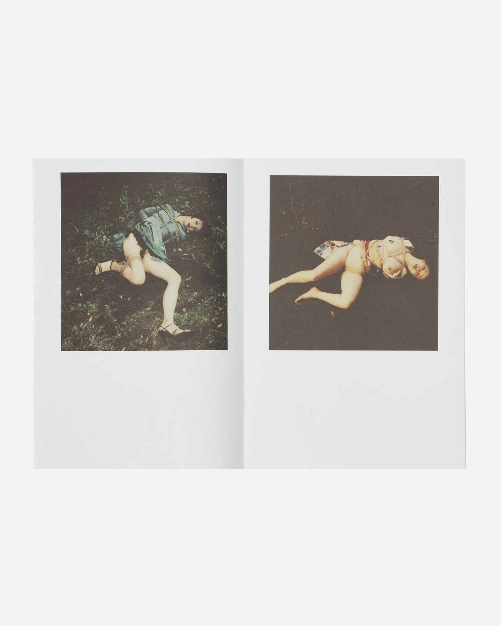Innen Publishing Magazines^Nobuyoshi Araki: Polanography Zine