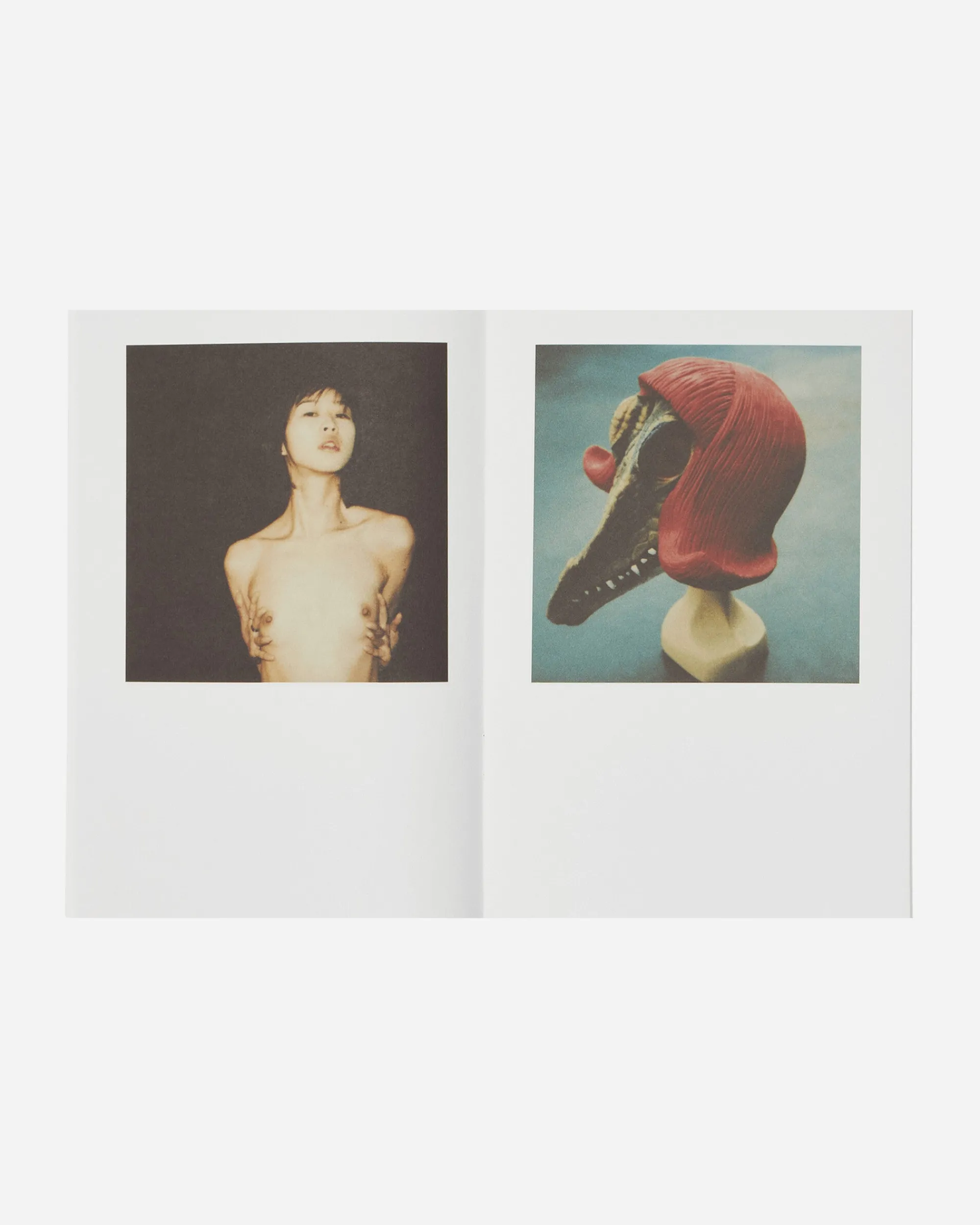 Innen Publishing Magazines^Nobuyoshi Araki: Polanography Zine
