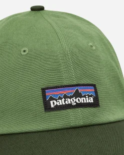 Patagonia Hats|Hats^P-6 Label Trad Cap Terrain Green