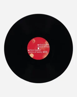 Public Possession Music^Picture Of Bunny Rabbit Vinyl