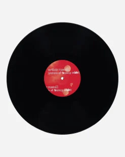 Public Possession Music^Picture Of Bunny Rabbit Vinyl