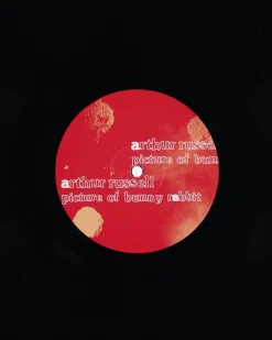 Public Possession Music^Picture Of Bunny Rabbit Vinyl