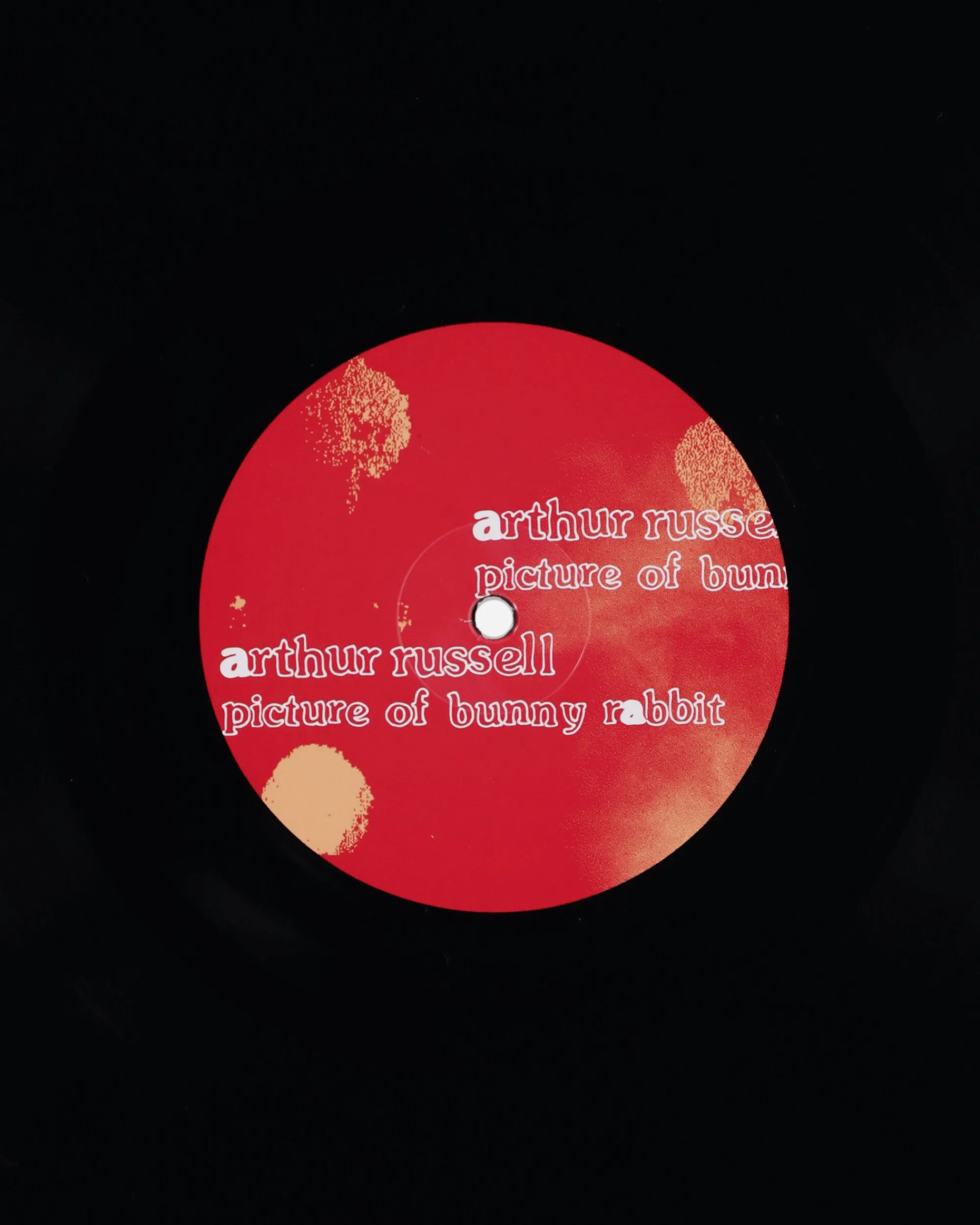 Public Possession Music^Picture Of Bunny Rabbit Vinyl