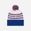 Patagonia Hats|Hats^Powder Town Beanie Park Stripe / Viking Blue