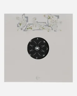 Public Possession Music^Radiants Vinyls