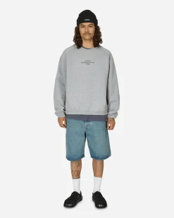 Stüssy Sweatshirts^Raglan Sleeve Crewneck Sweatshirt Grey Heather
