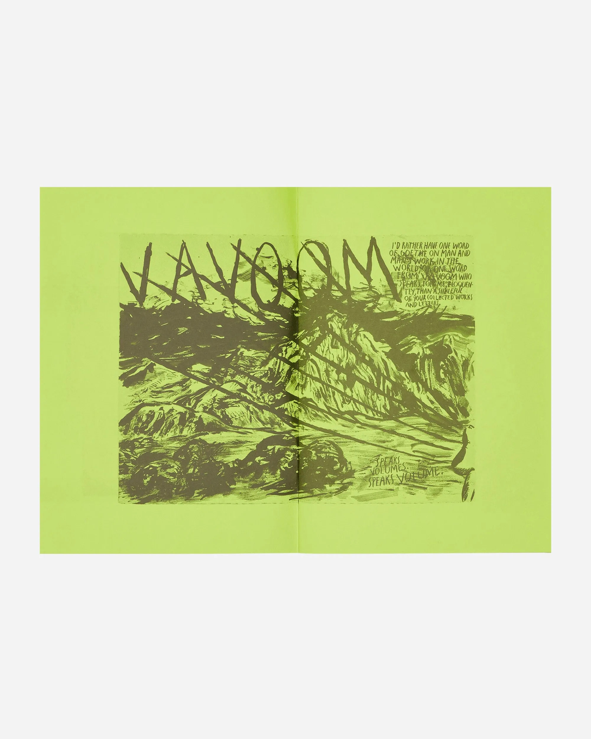 Innen Publishing Magazines^Raymond Pettibon: Selected Works From 1982 To 2011 Zine