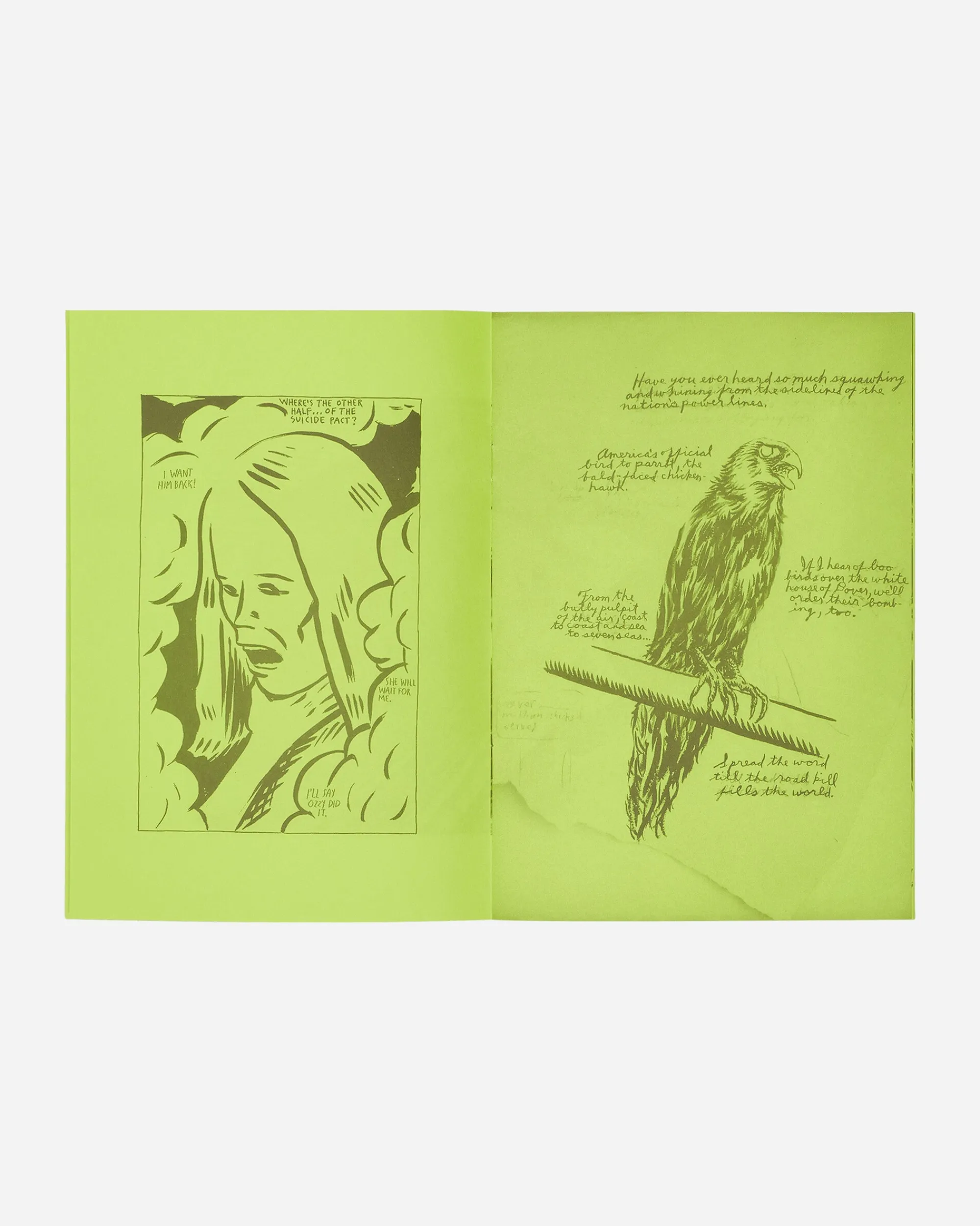 Innen Publishing Magazines^Raymond Pettibon: Selected Works From 1982 To 2011 Zine