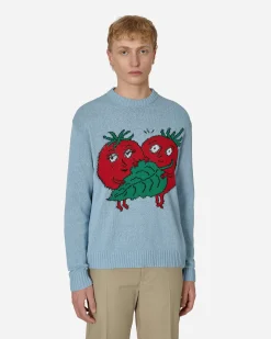 Sky High Farm Knitwear^Recycled Cotton Intarsia Knit Sweater Blue