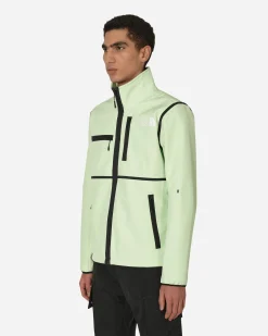 The North Face Sweatshirts^Remastered Denali Jacket Green