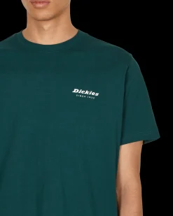 Dickies T-Shirts^Reworked T-Shirt Green