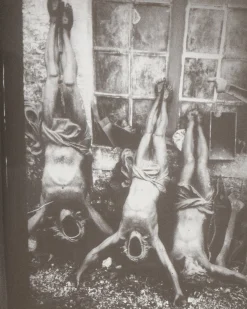 Innen Publishing Magazines^Ron Morelli: Animal Parts: Decaying World Photos 2009-2018 Zine