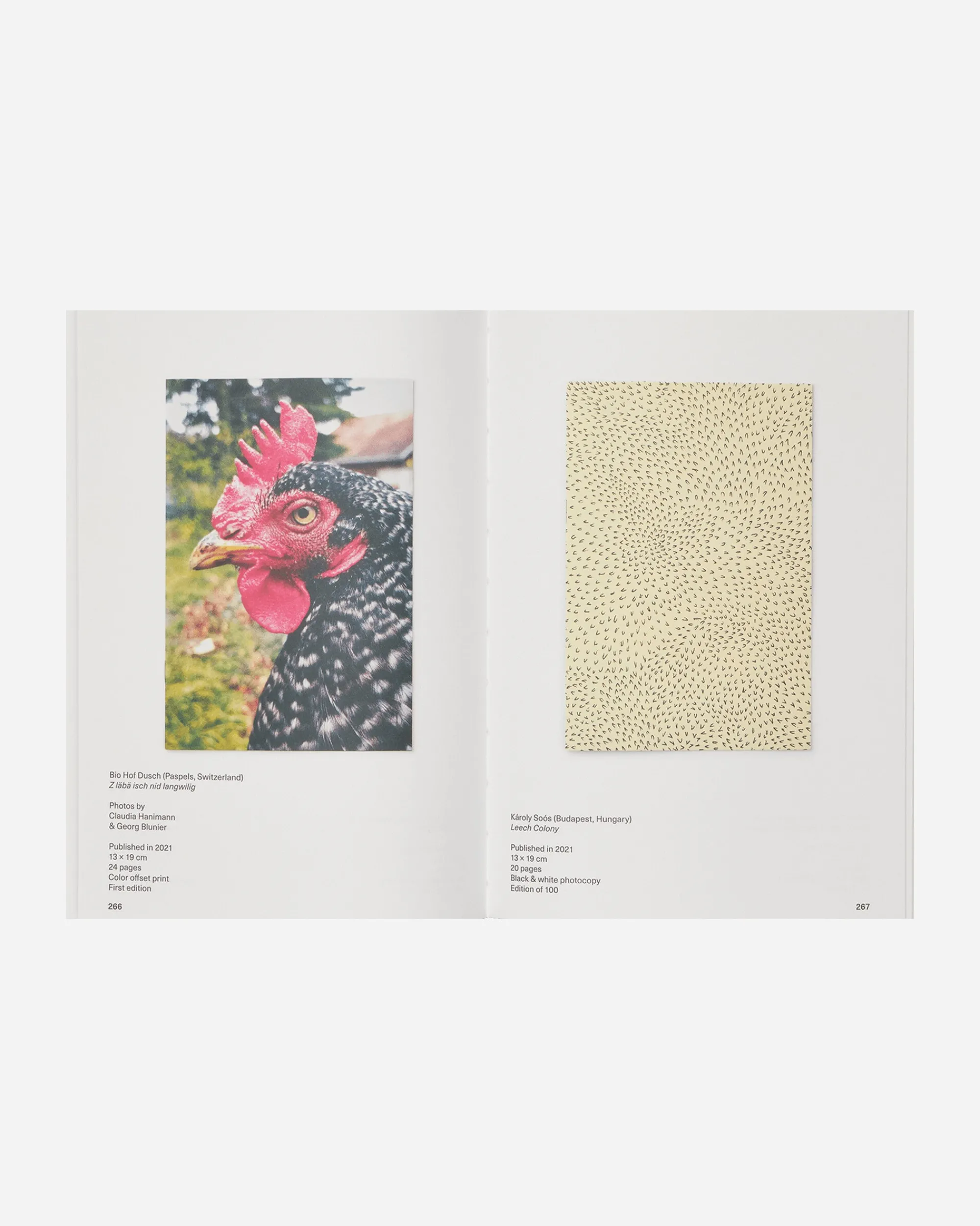 Innen Publishing Books^The First Years 2005-2023 Anniversary Book